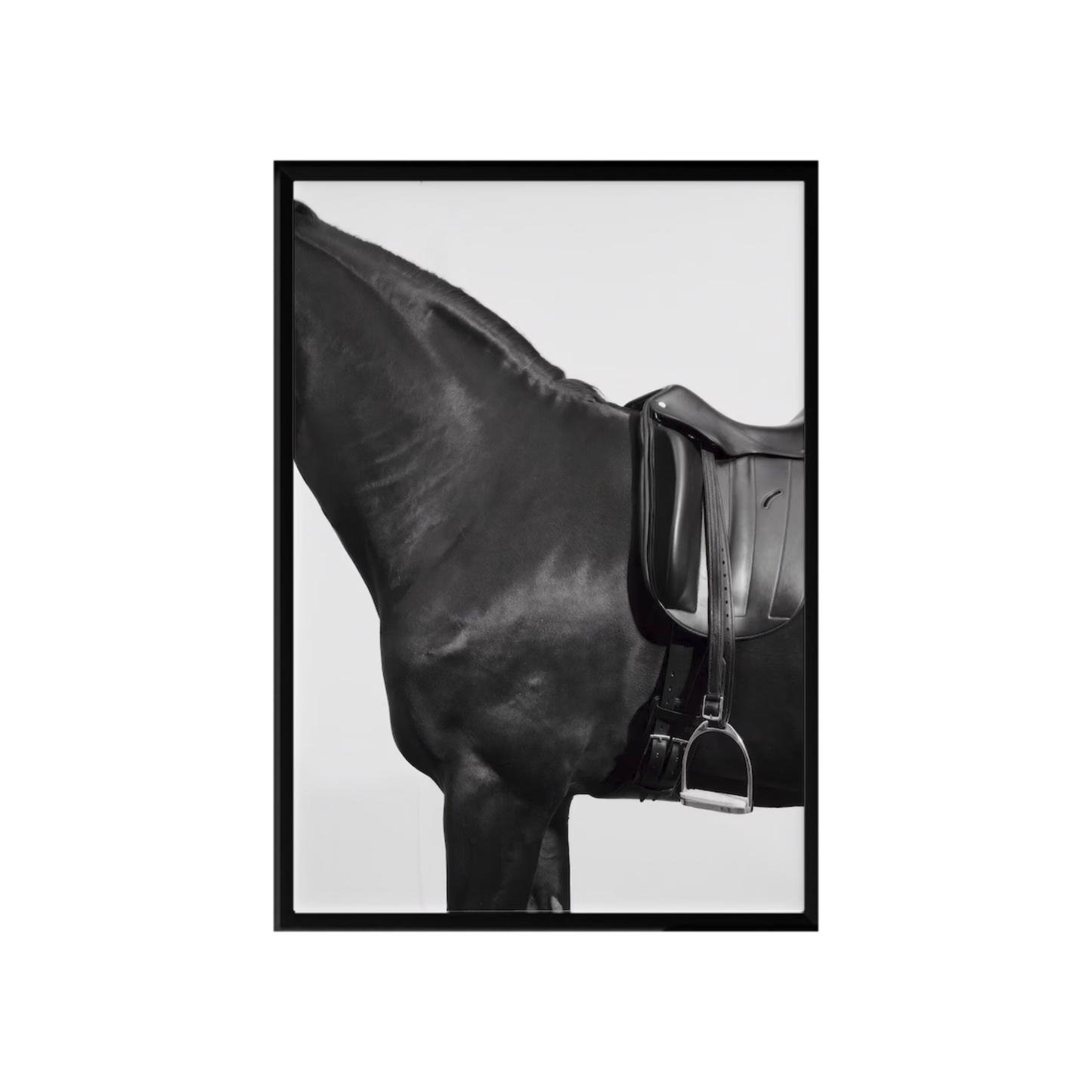 Horse Riding Posters